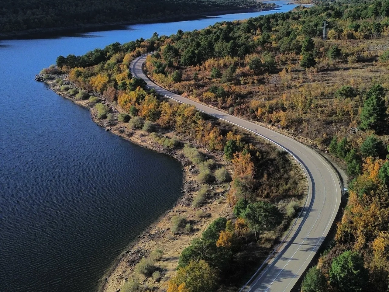 Carretera junto al embalse de la Cuerda del Pozo entre árboles amarillos en otoño
