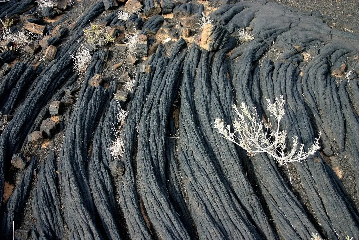 Lavas cordadas en La Restinga, El Hierro