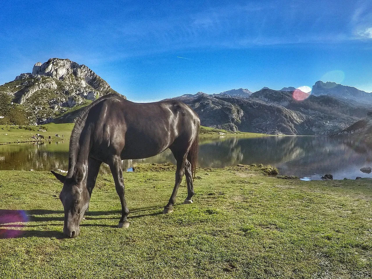 Lago Ercina con la montaña reflejada