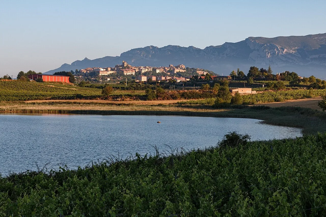 Laguna de Carralogroño en Laguardia