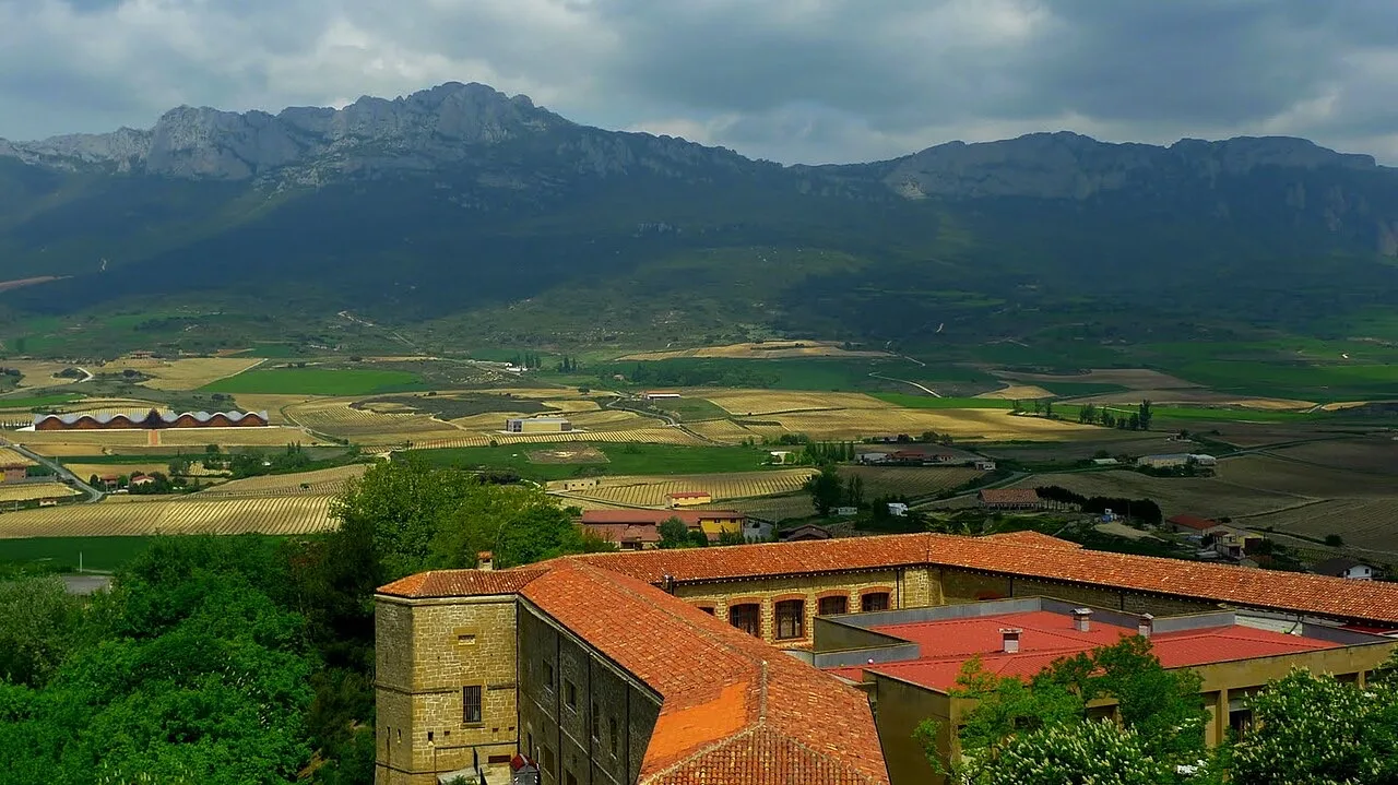 Vistas de los viñedos desde Laguardia