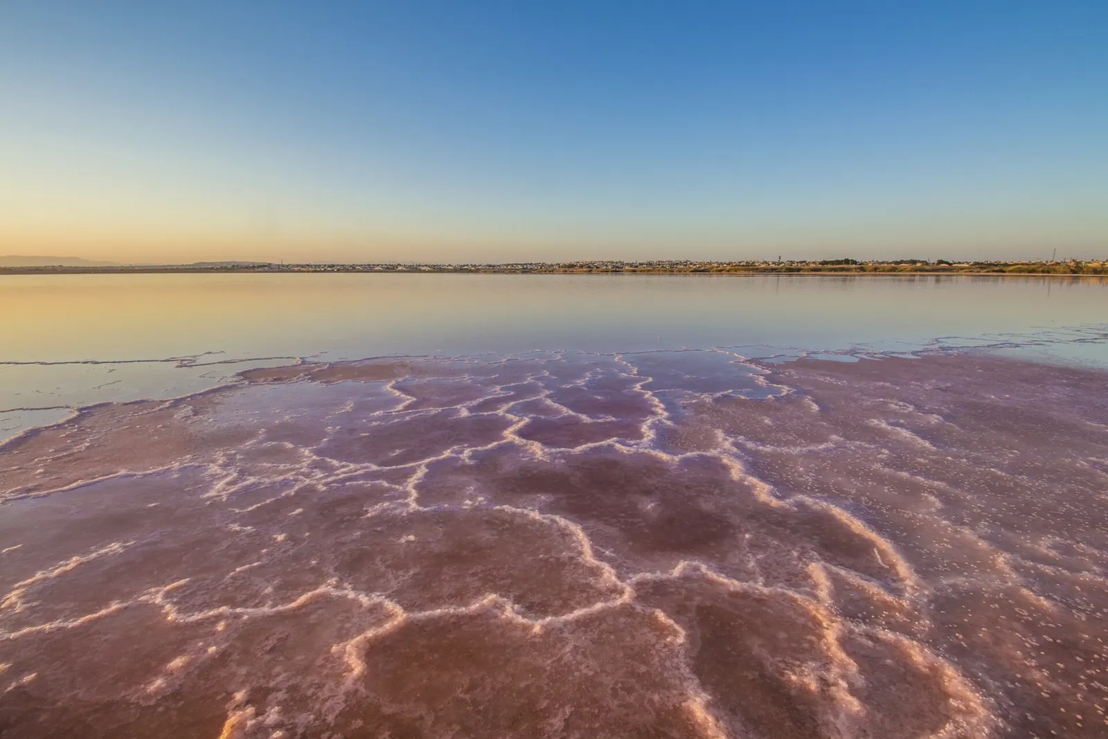 Laguna Rosa de Torrevieja