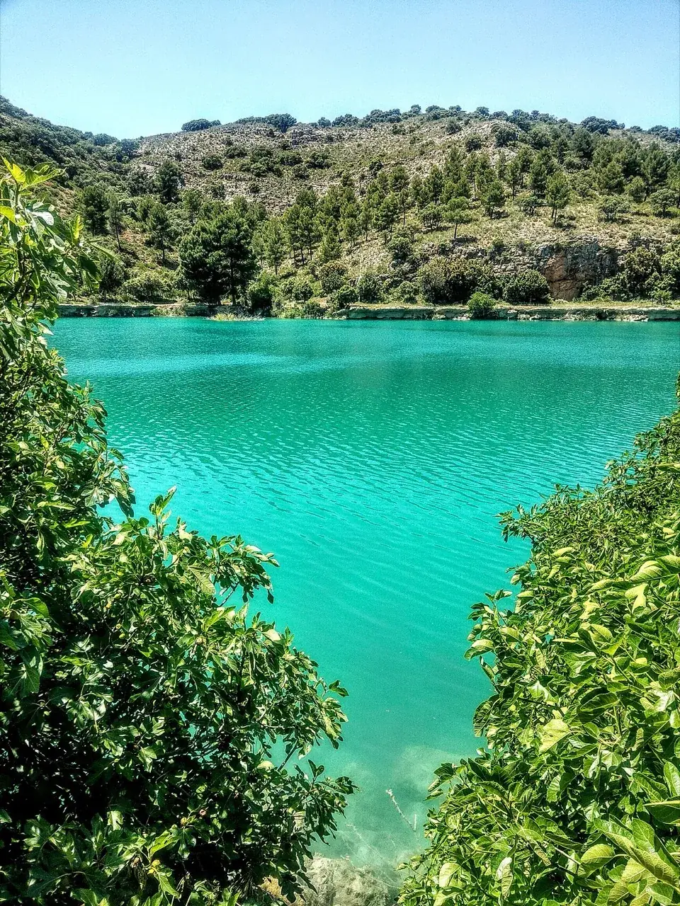 Agua turquesa en las Lagunas de Ruidera