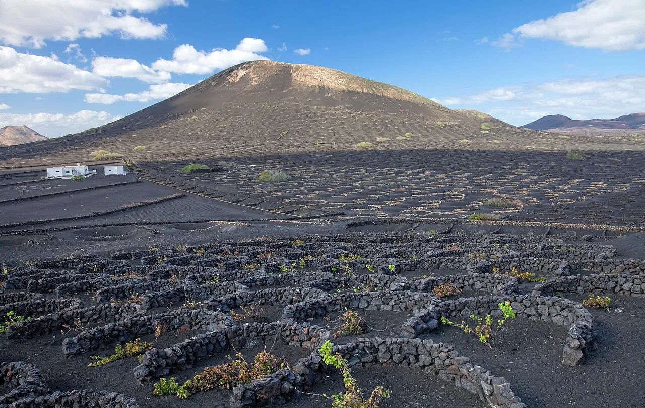 Viñedos de La Geria en Lanzarote