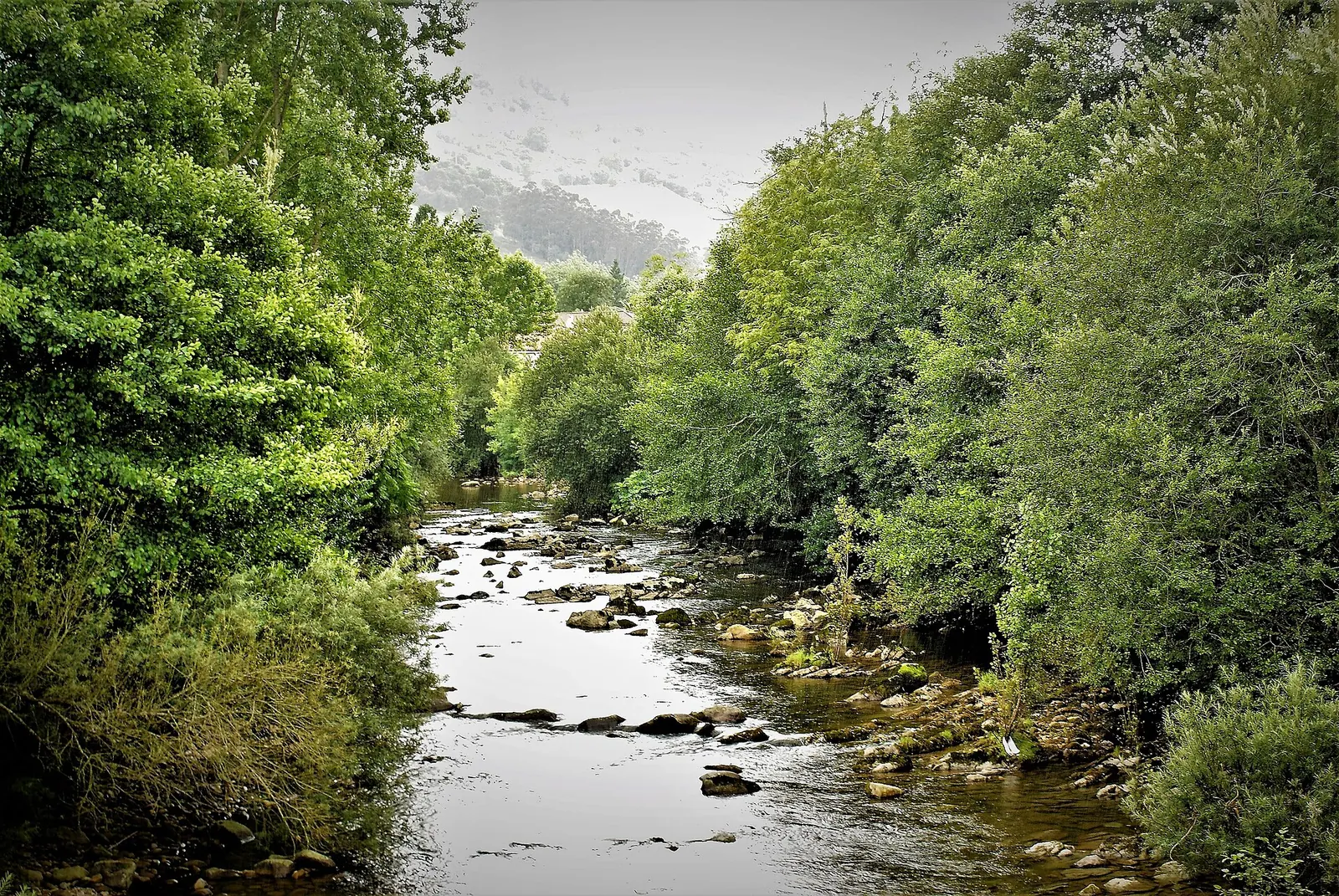 Río Miera a su paso por Liérganes