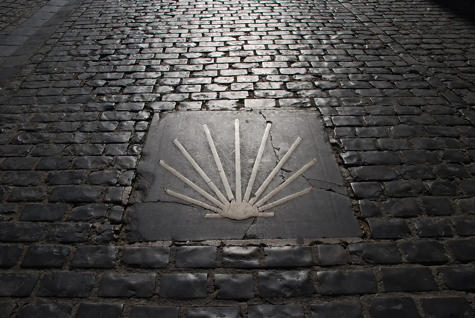 Concha del Camino de Santiago en el suelo de Logroño