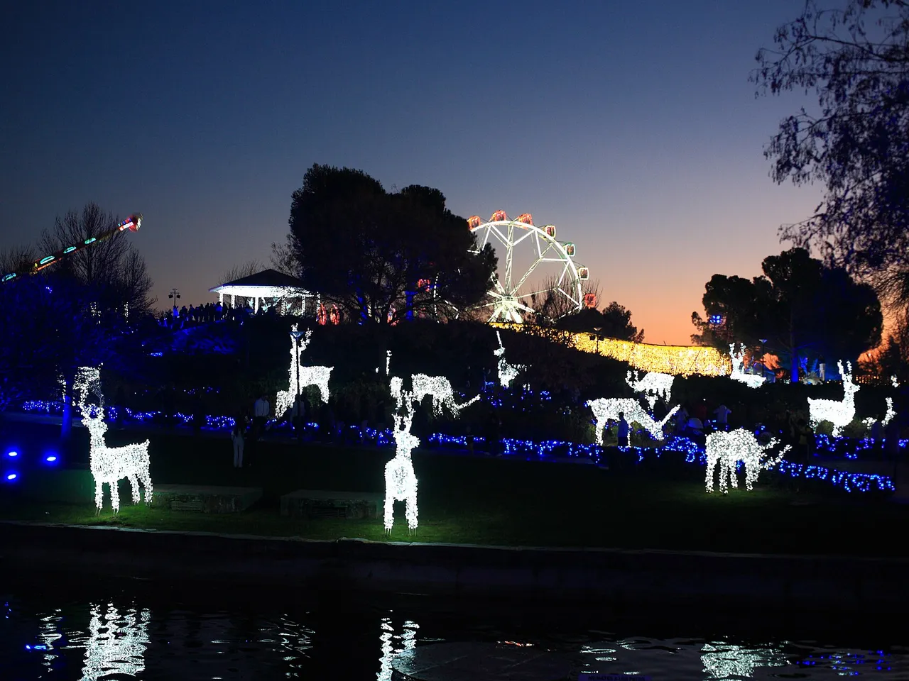Ciervos luminosos junto a un lago en Torrejón