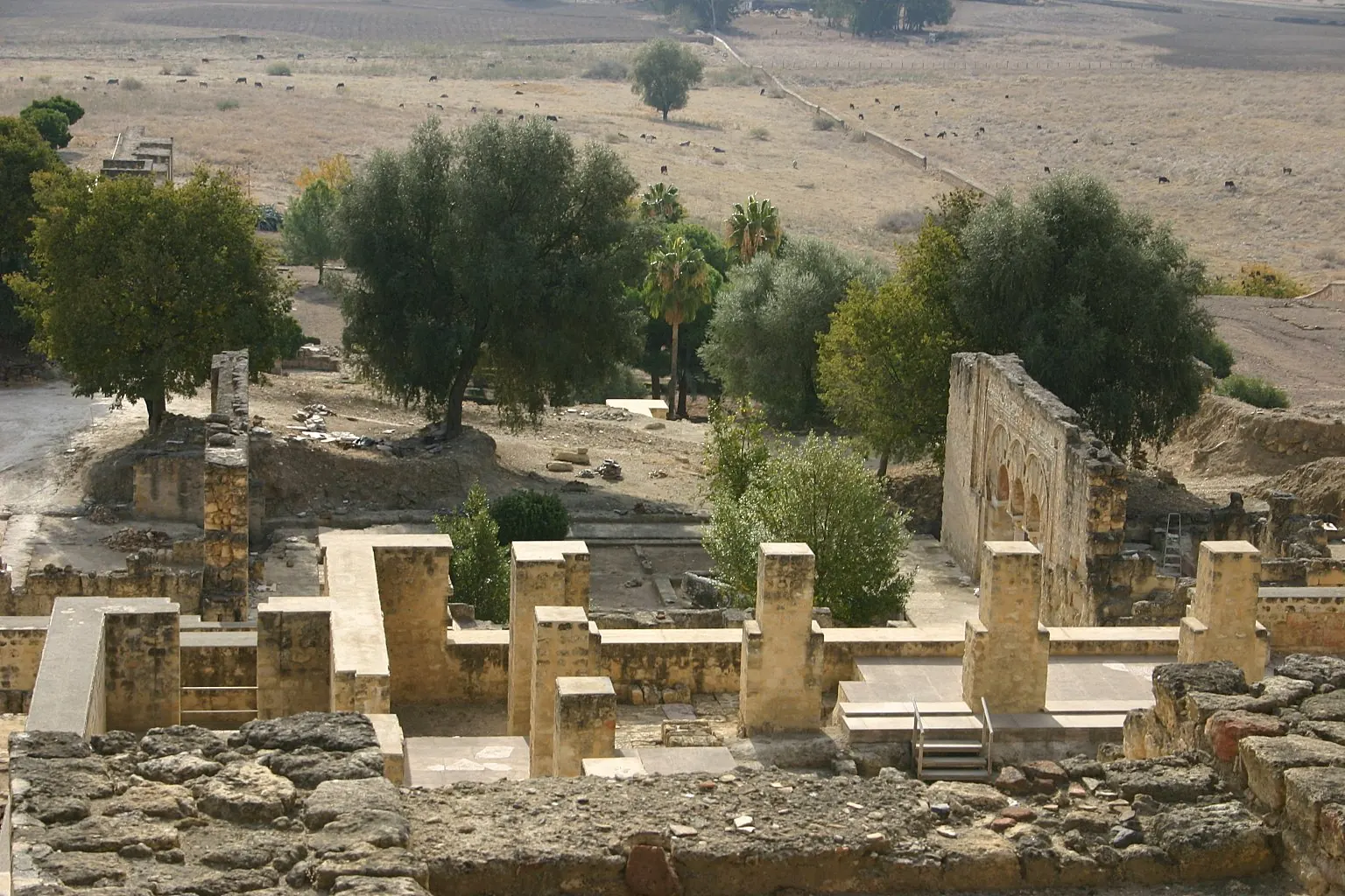 Vista general de Medina Azahara