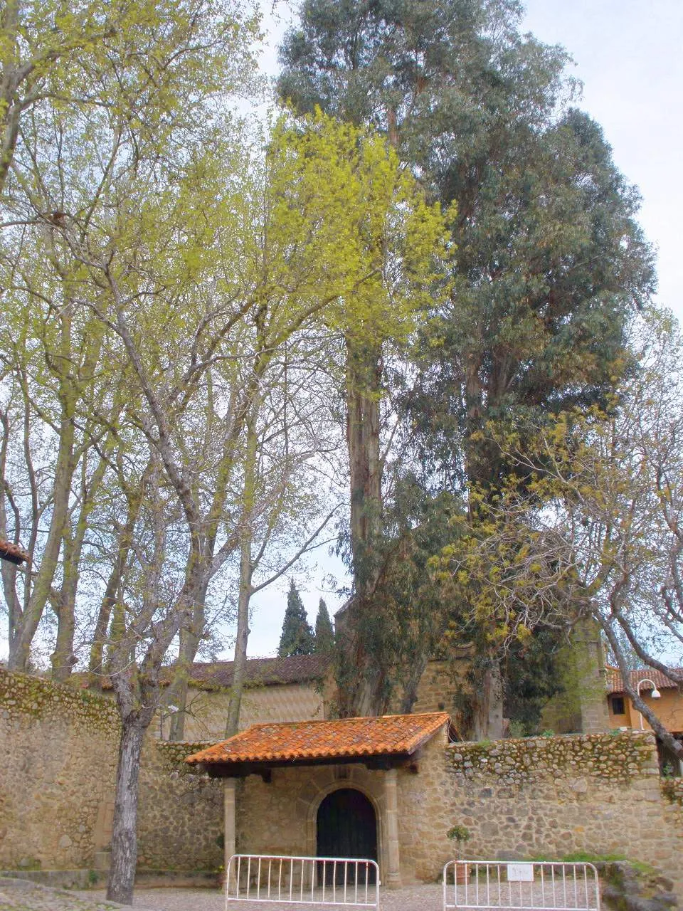 Entrada al Monasterio de Yuste entre árboles