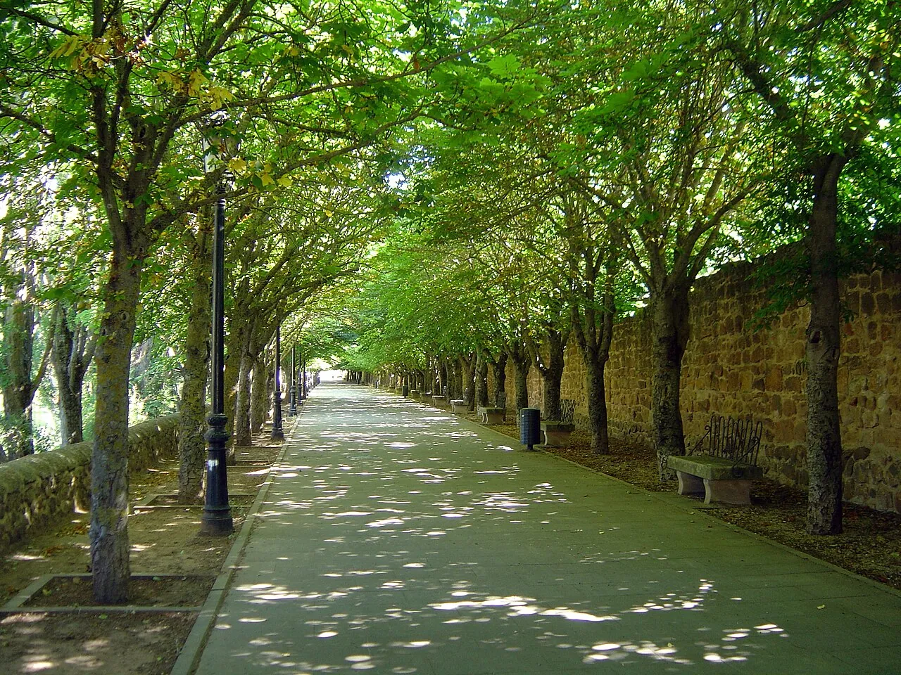 Paseo de San Saturio junto al Duero