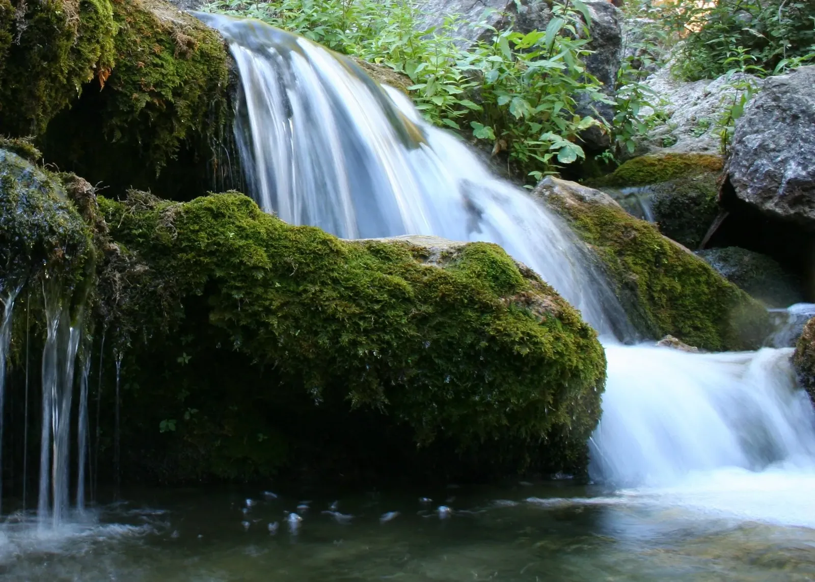 Cascada entre musgo en el Nacimiento del río Mundo