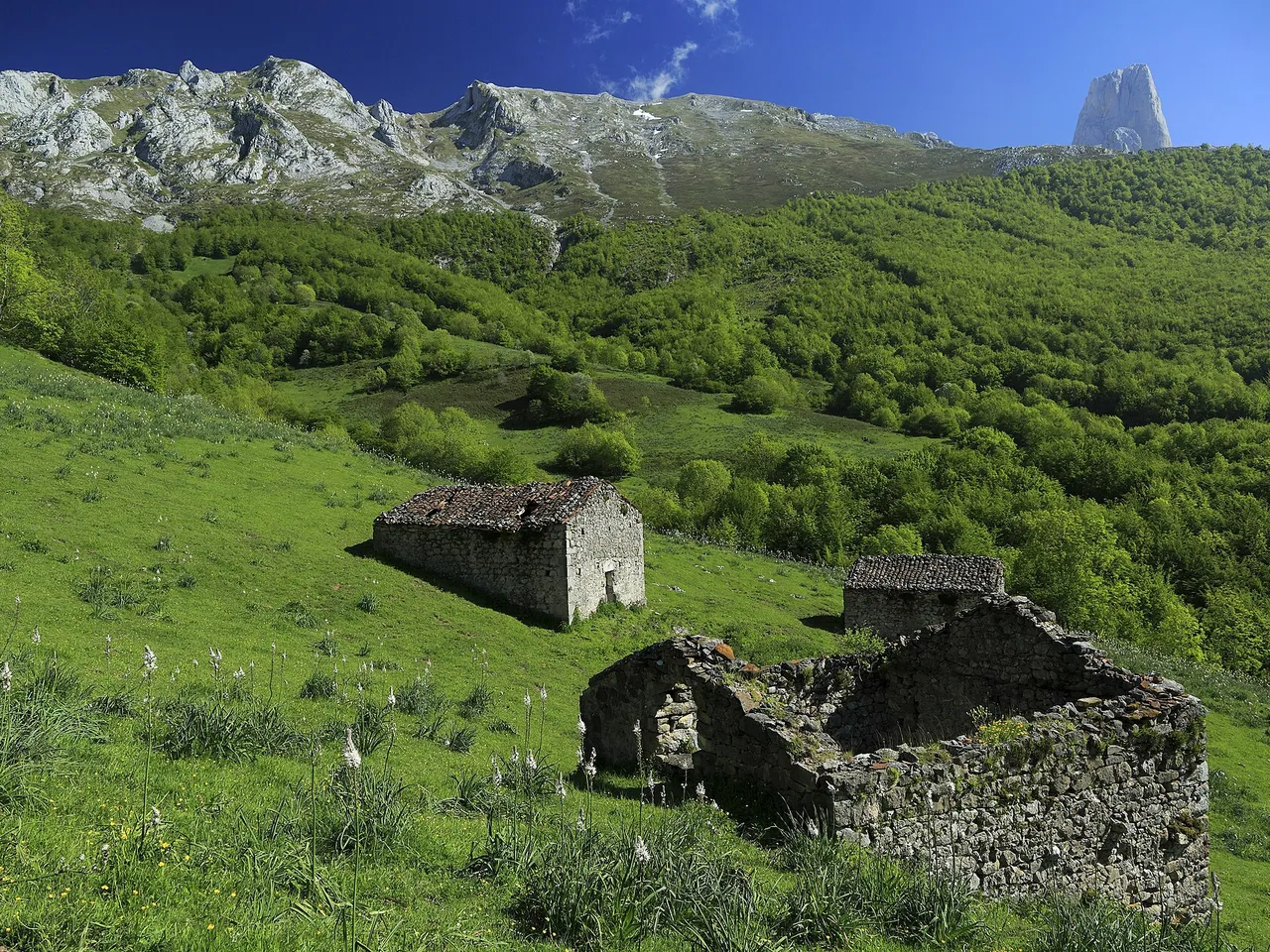 Naranjo de Bulnes visto desde Entremosquines