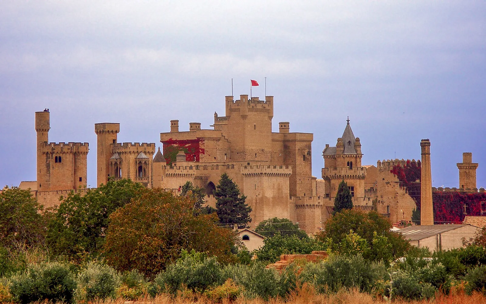 Qué ver en Olite: el Palacio Real, el pueblo medieval y el vino de Navarra