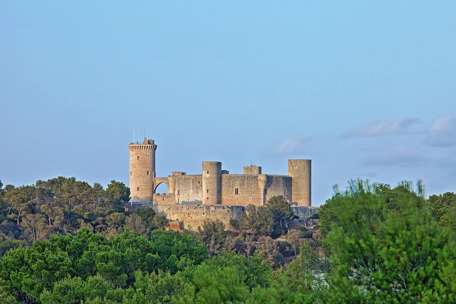Castillo de Bellver sobre el bosque de Palma