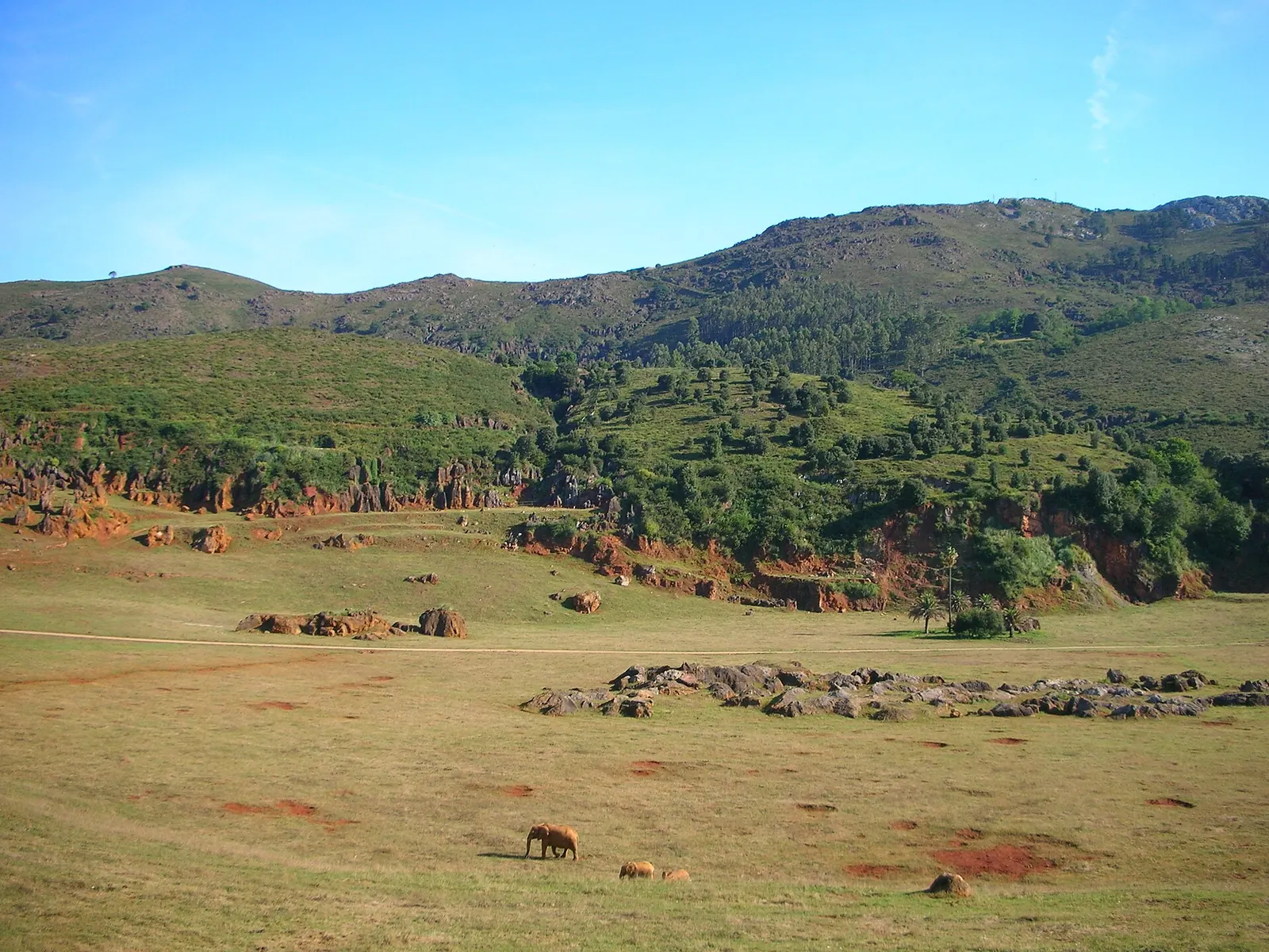 Vista general del Parque de Cabárceno con sus praderas