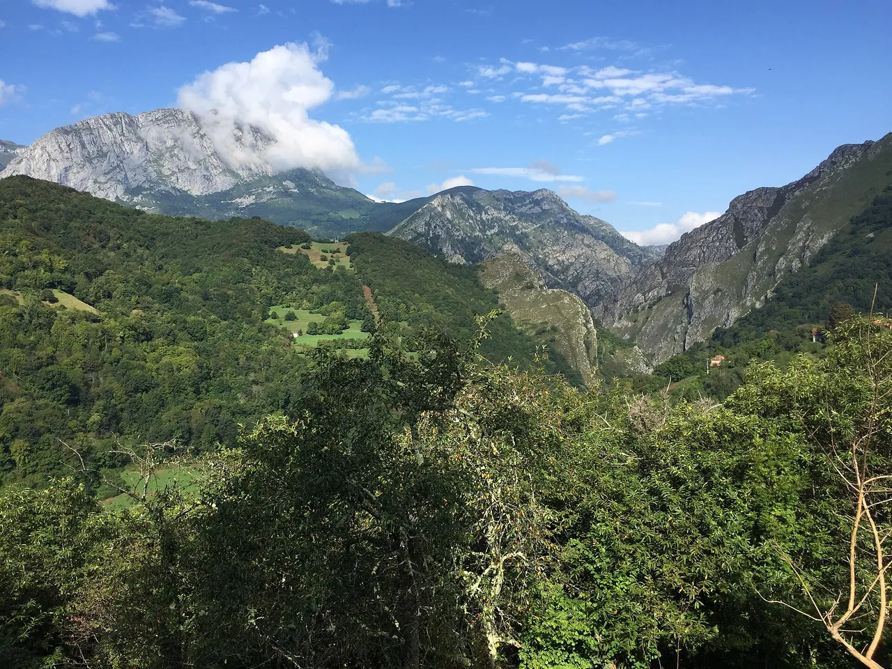 Valle arbolado y picos de caliza en Ponga