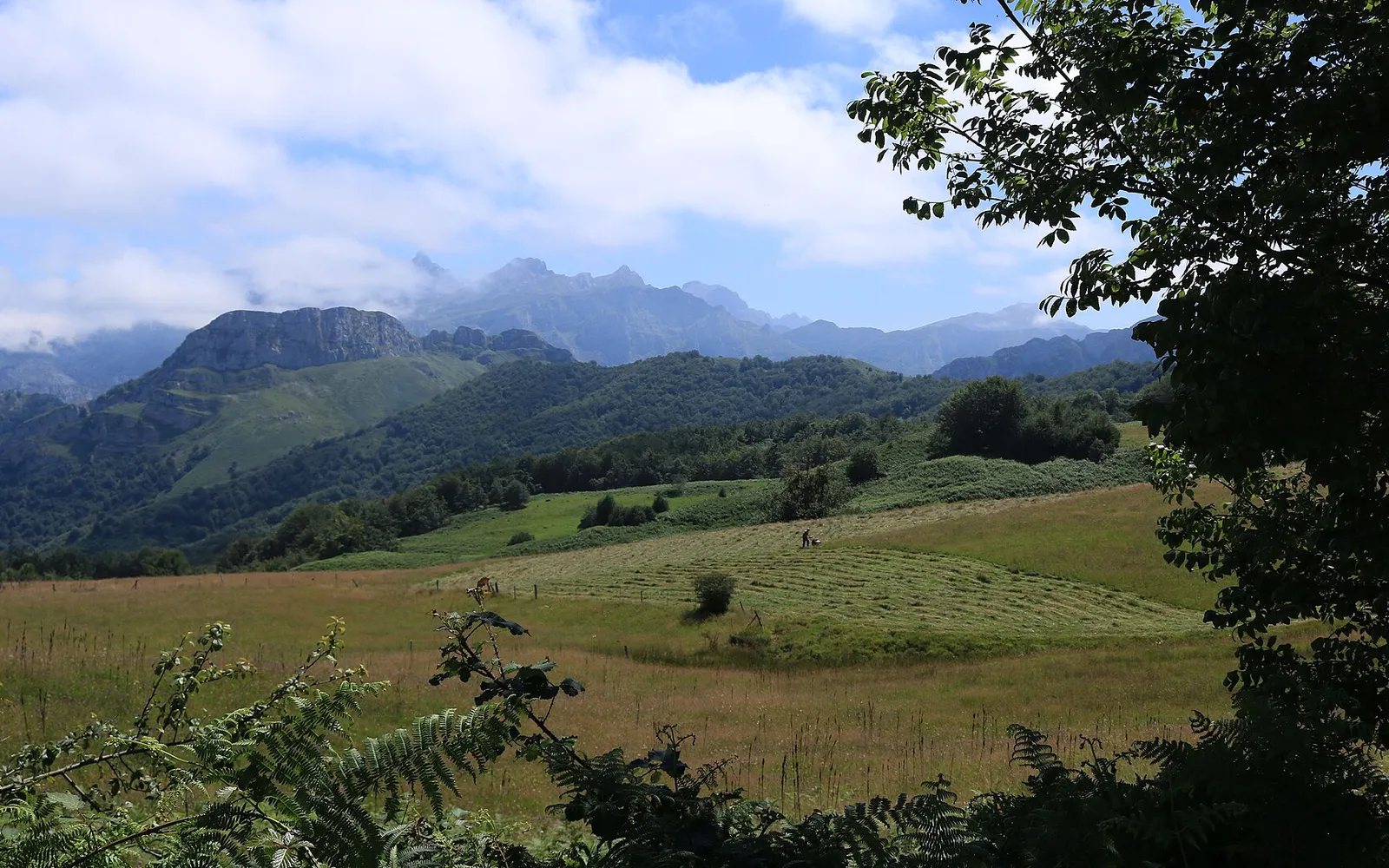 Parque Natural de Ponga