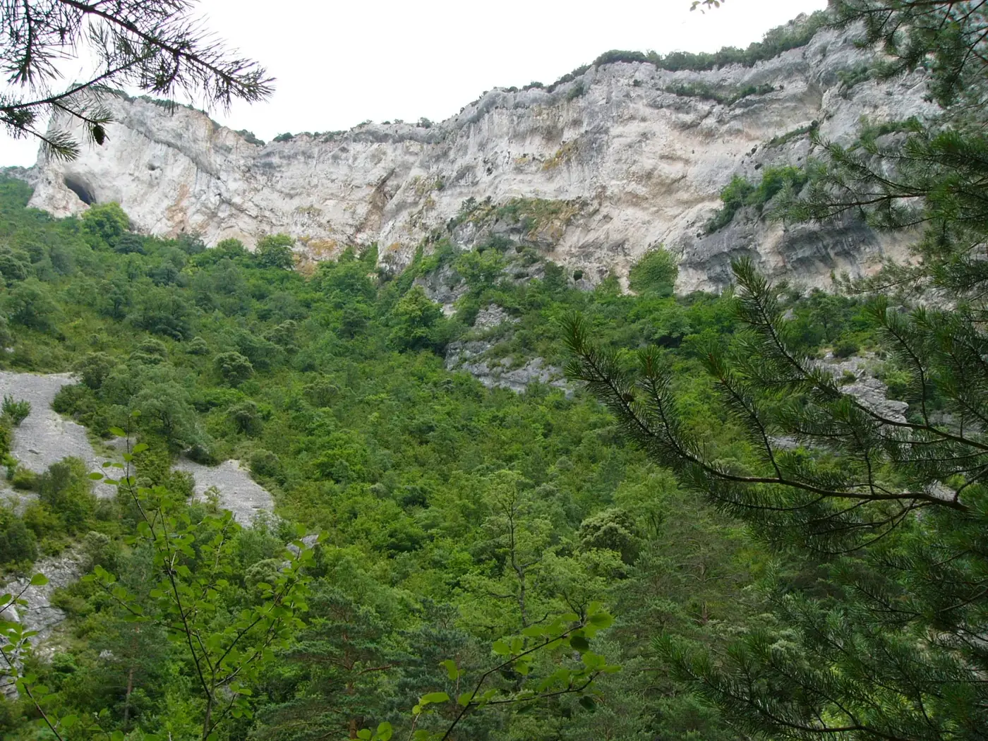 Desfiladero con paredes de roca y bosque en Valderejo
