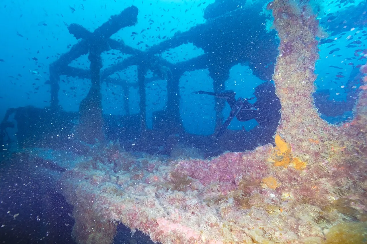El Naranjito: la historia del barco de las naranjas hundido en Cabo de Palos