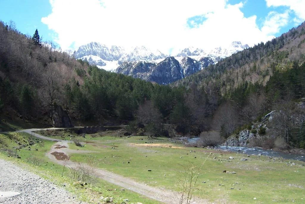 Selva de Oza, Pirineo Aragonés