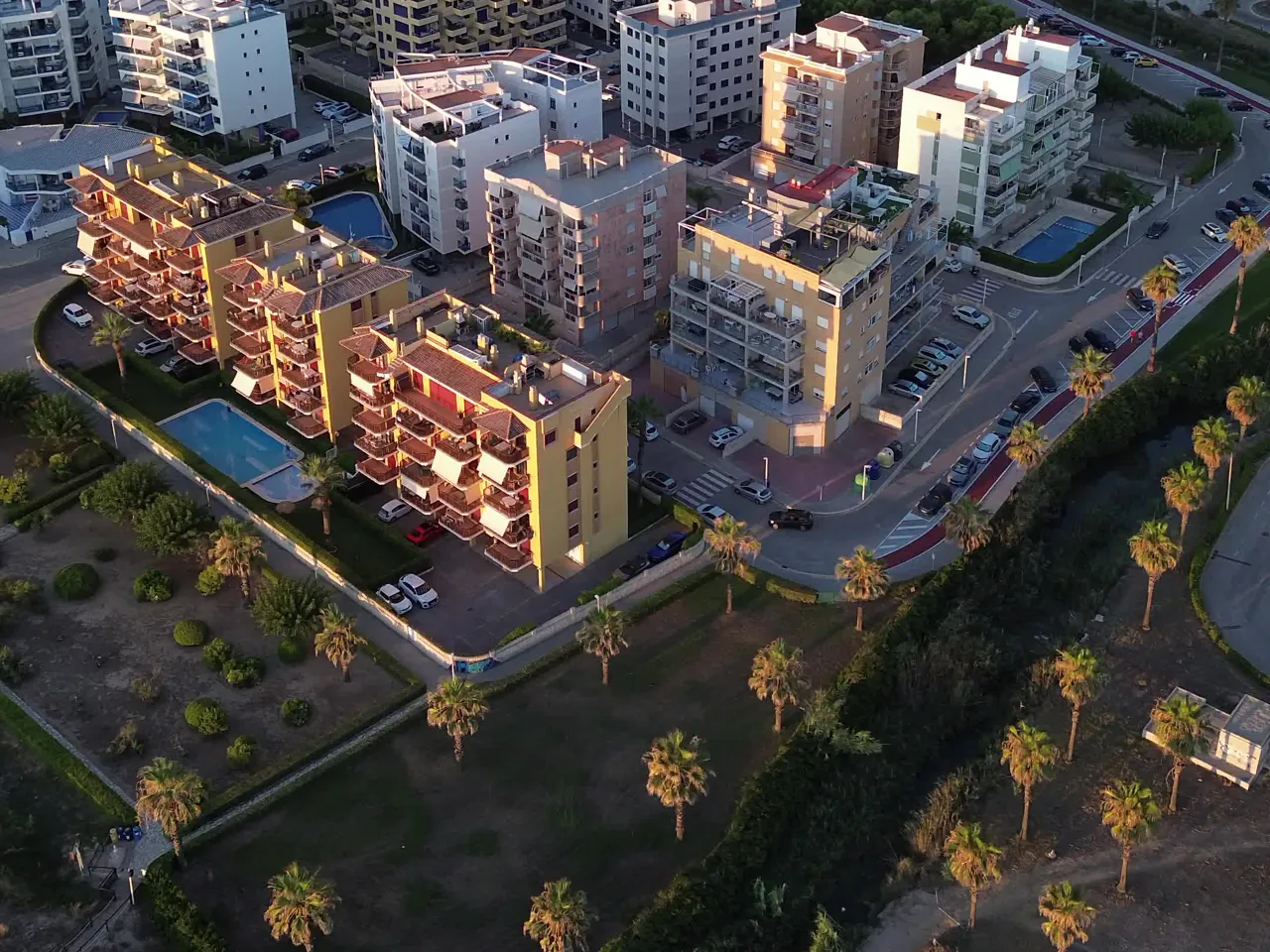 Urbanización con palmeras junto a la playa de Daimús vista desde el aire