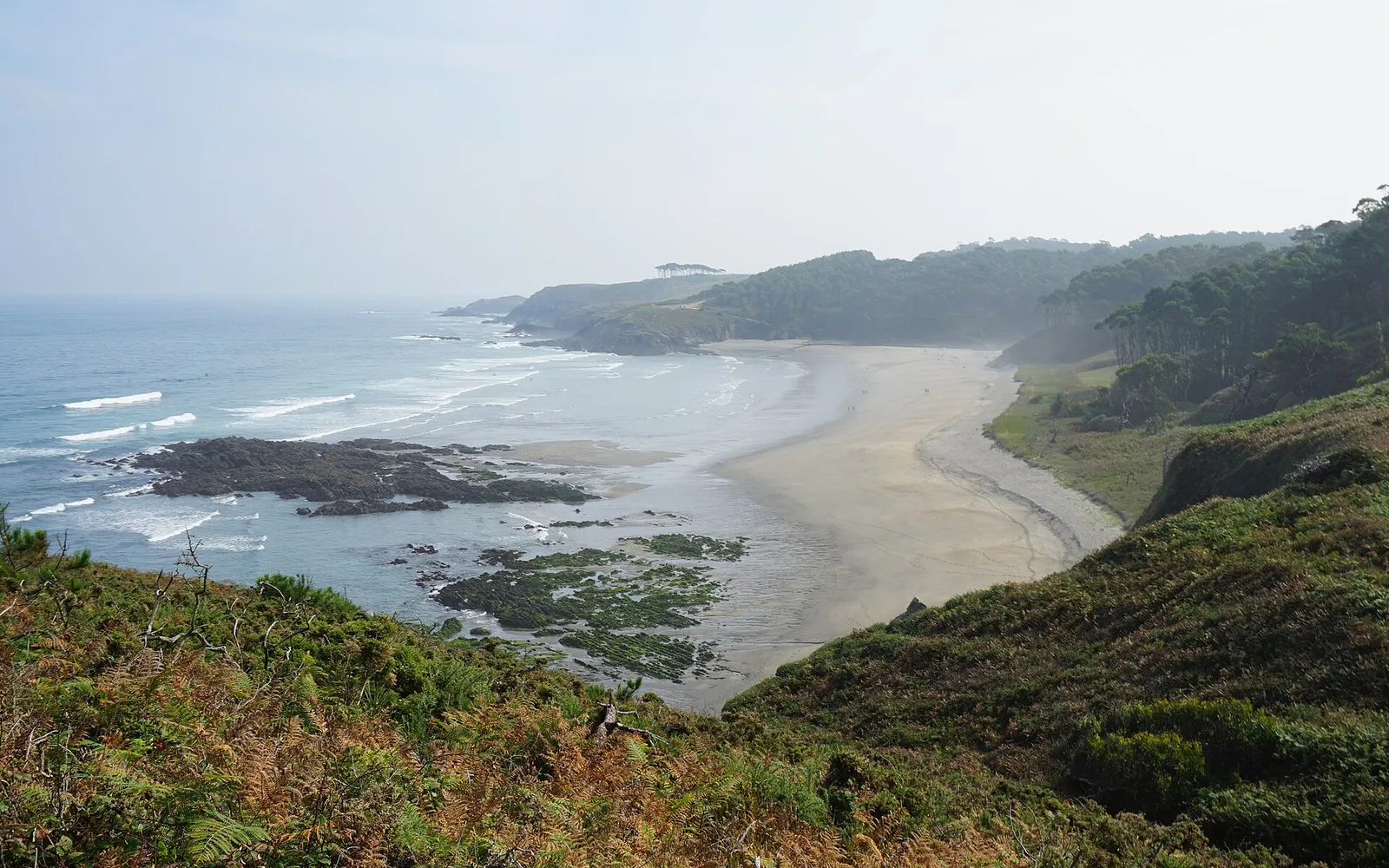 Playa de Frexulfe