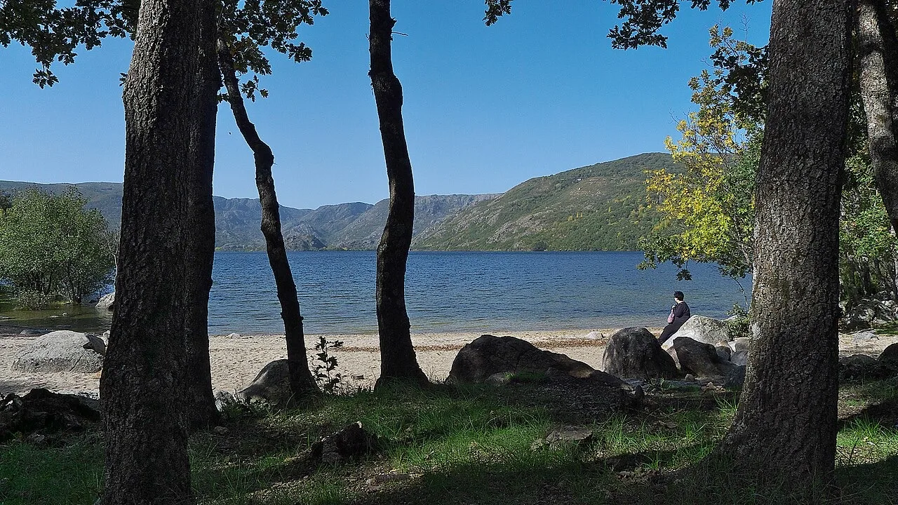 Playa del Lago de Sanabria entre árboles