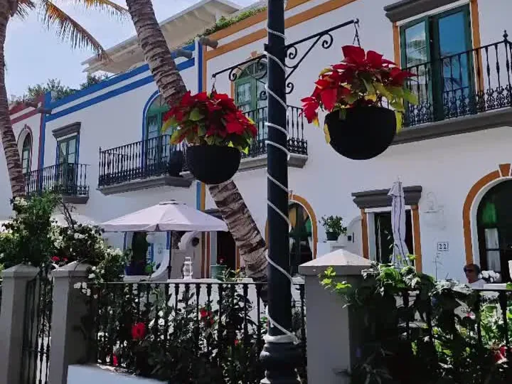Casas blancas con flores, palmeras y farolas en Puerto de Mogán