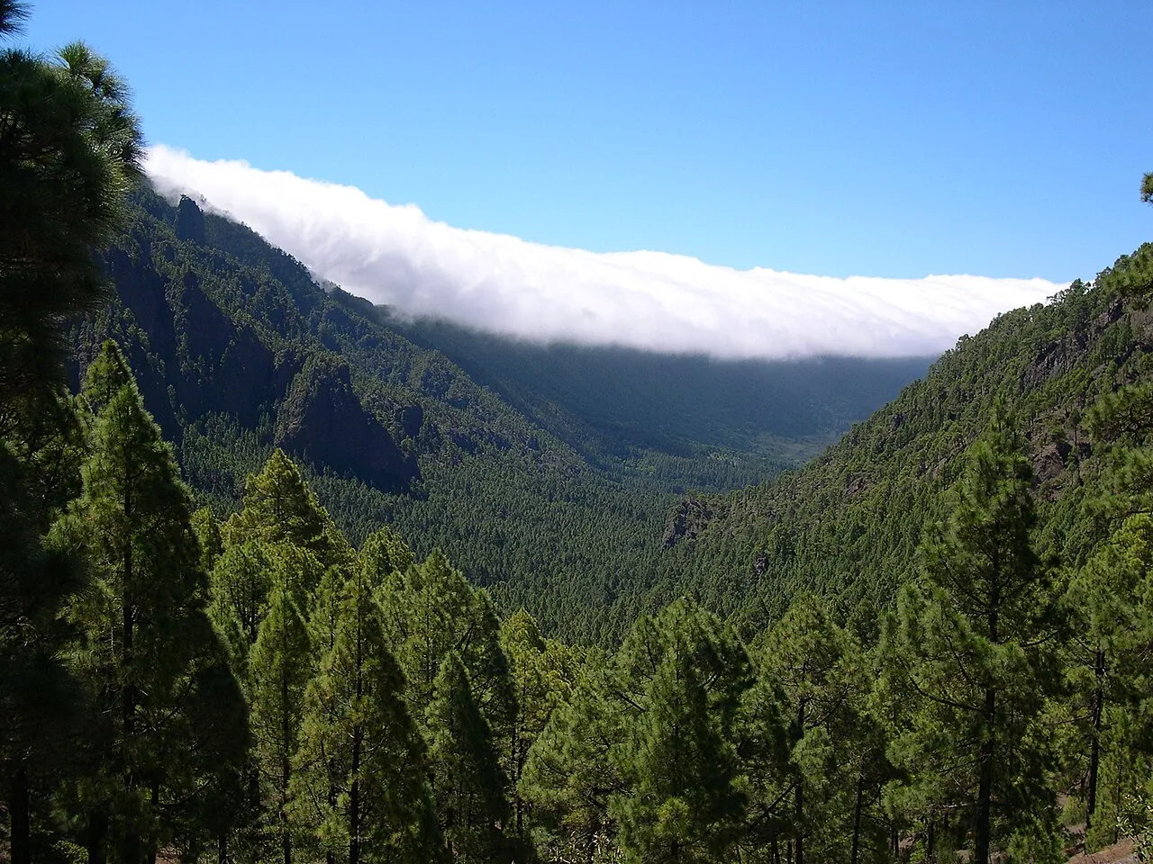 12 cosas que hacer en La Palma, la Isla Bonita