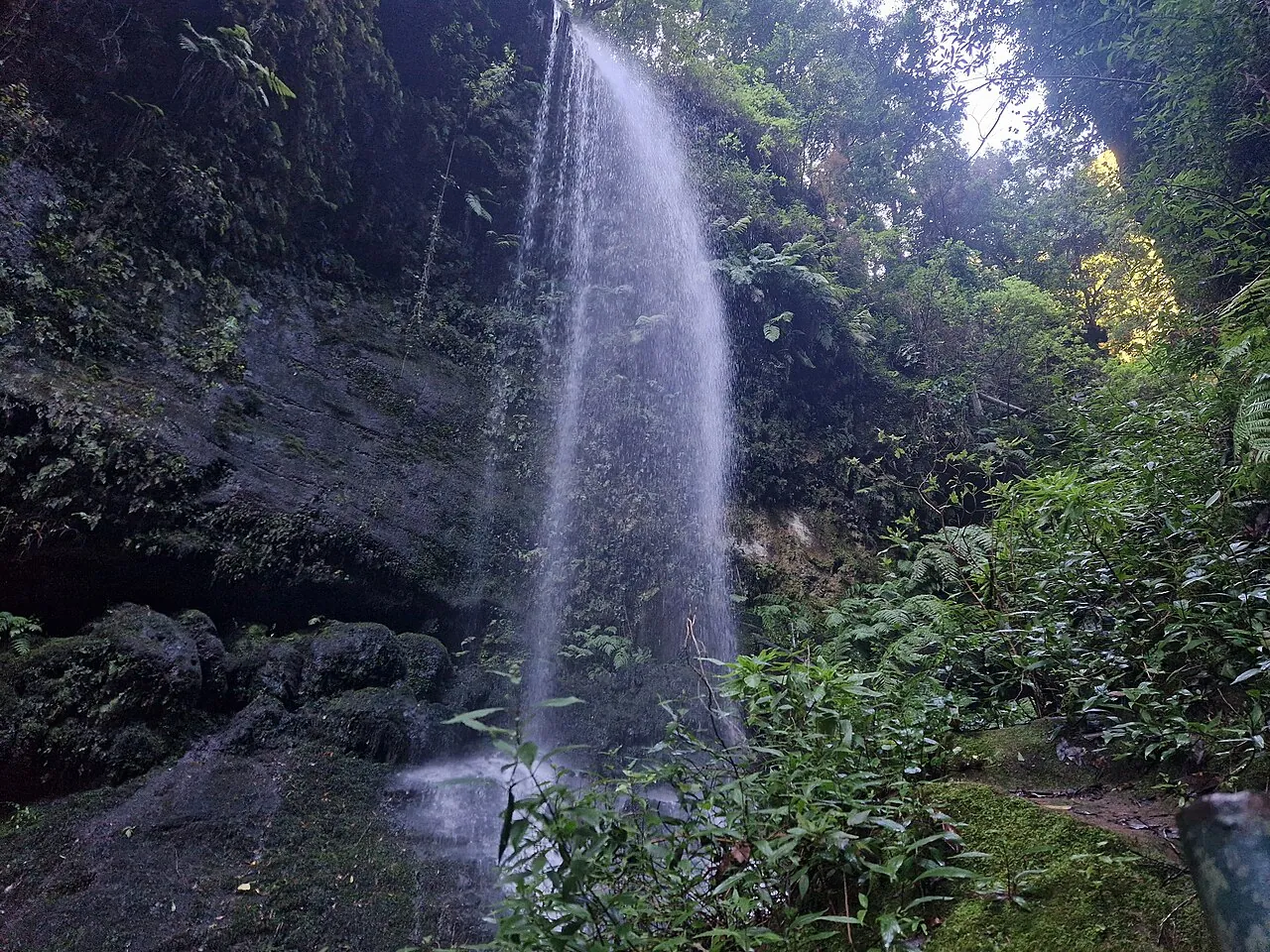 Cascada en el bosque de Los Tilos