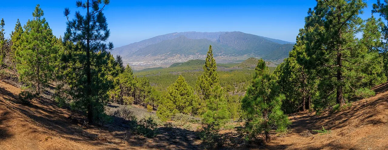 Ruta de los Volcanes en La Palma