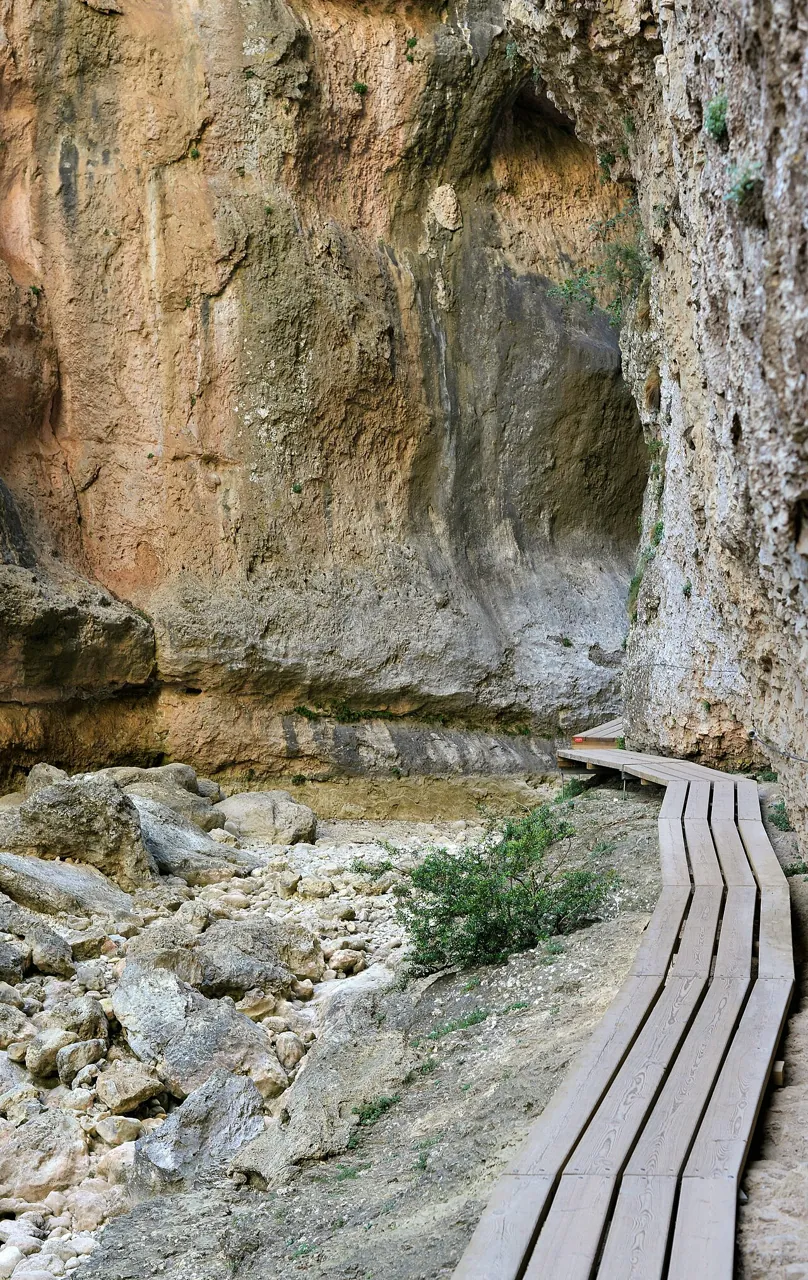 Pasarelas de madera del Parrizal