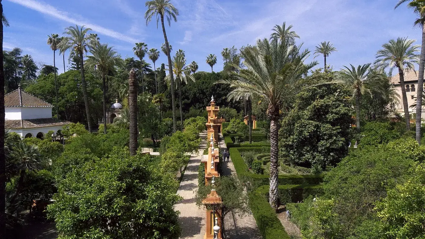 Jardines del Real Alcázar de Sevilla con palmeras