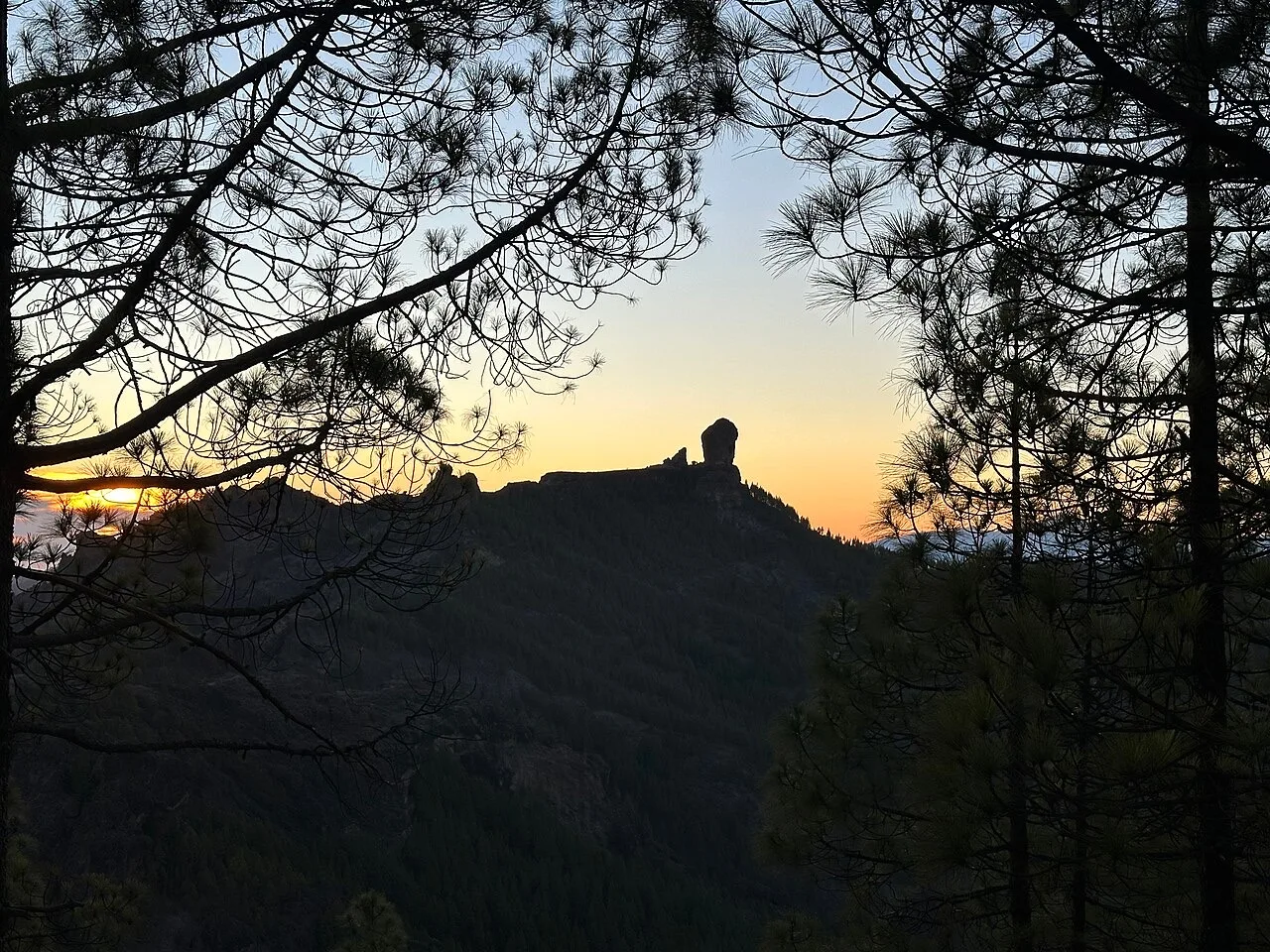 Roque Nublo a contraluz entre pinos