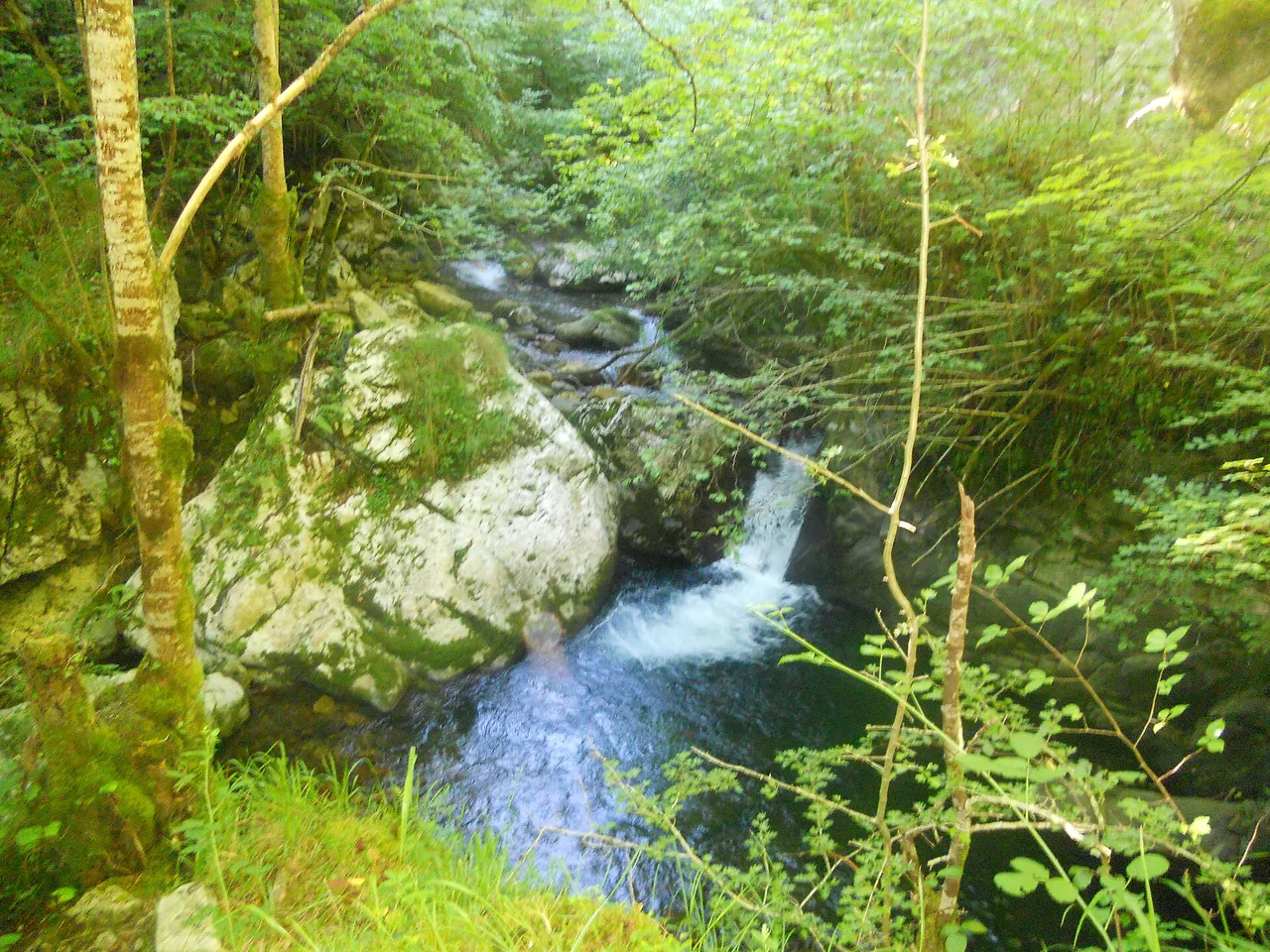 Pequeña cascada en el río Alba