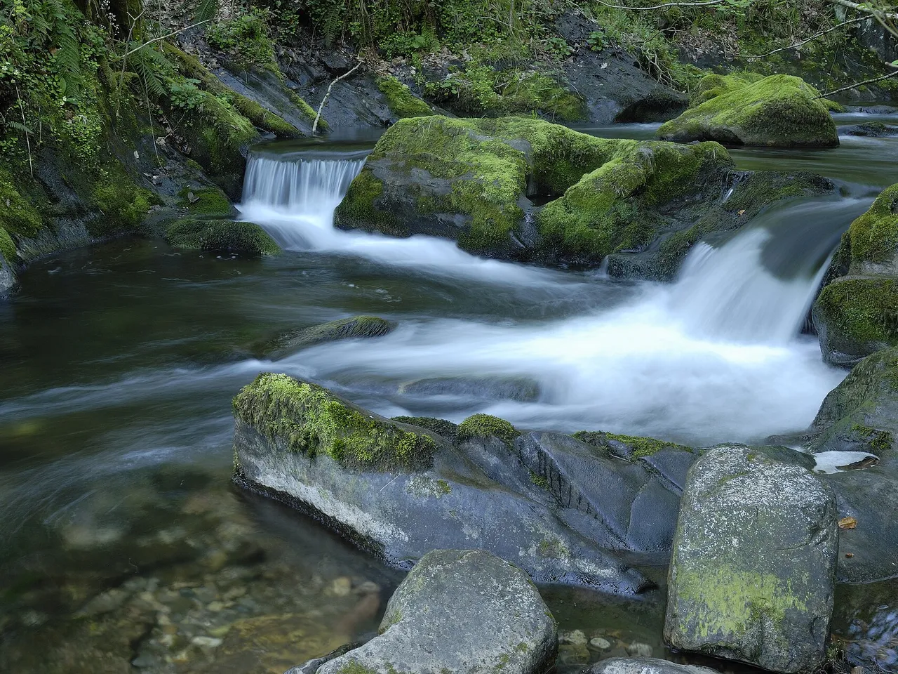 Corriente del río Alba entre piedras