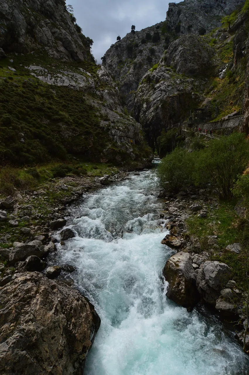 Río Cares desde la ruta