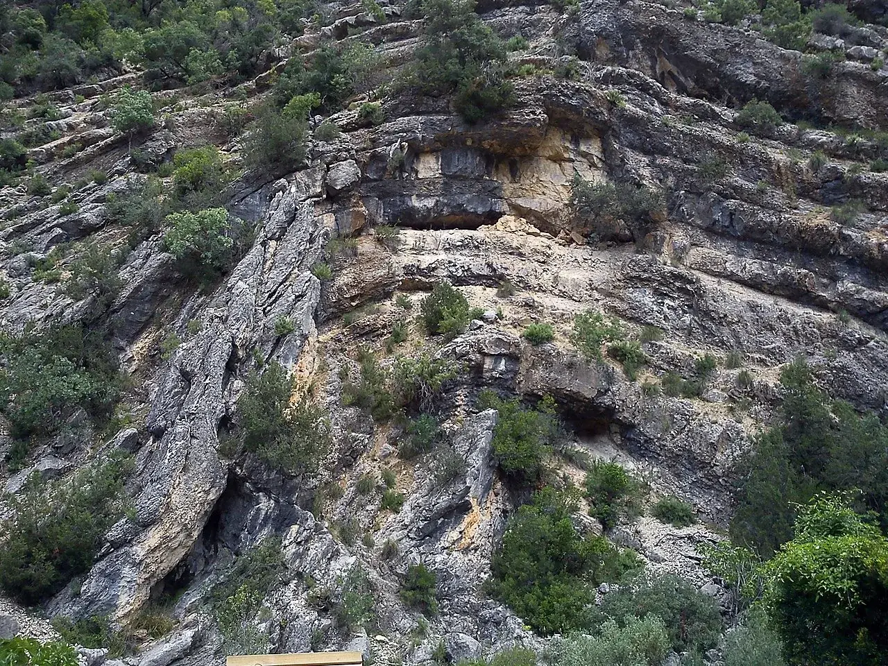 Pliegue geológico del río Borosa