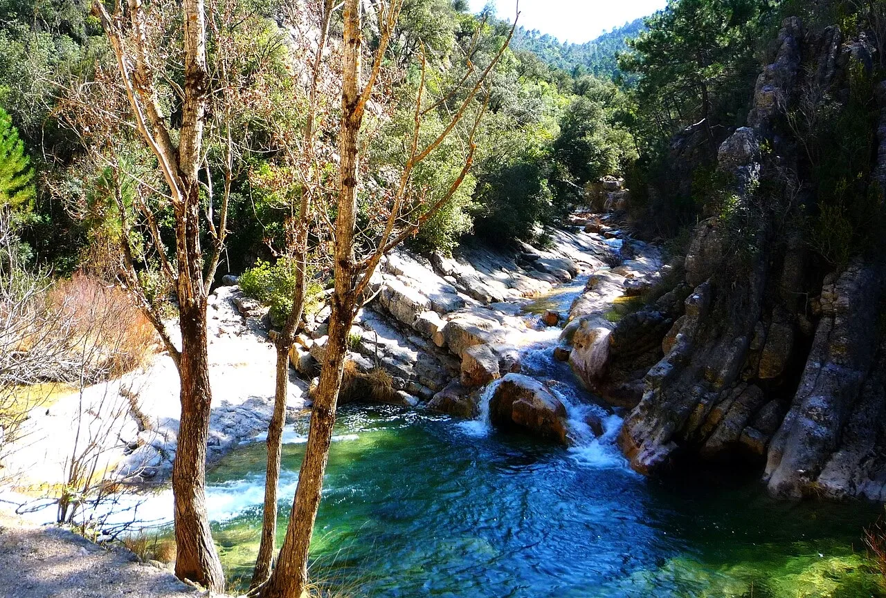Río Borosa