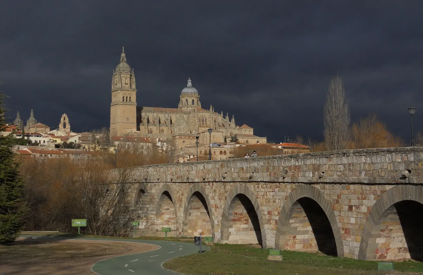 Catedral de Salamanca y puente romano sobre el Tormes