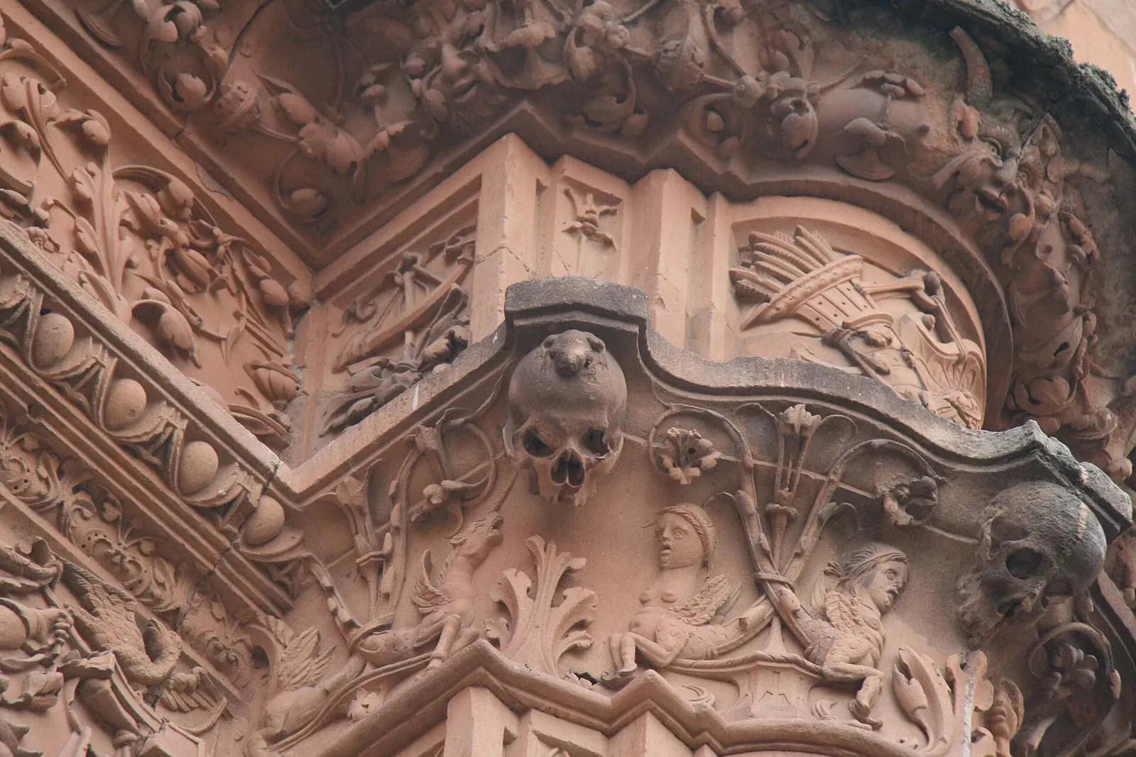 Calavera con la rana en la fachada de la Universidad de Salamanca