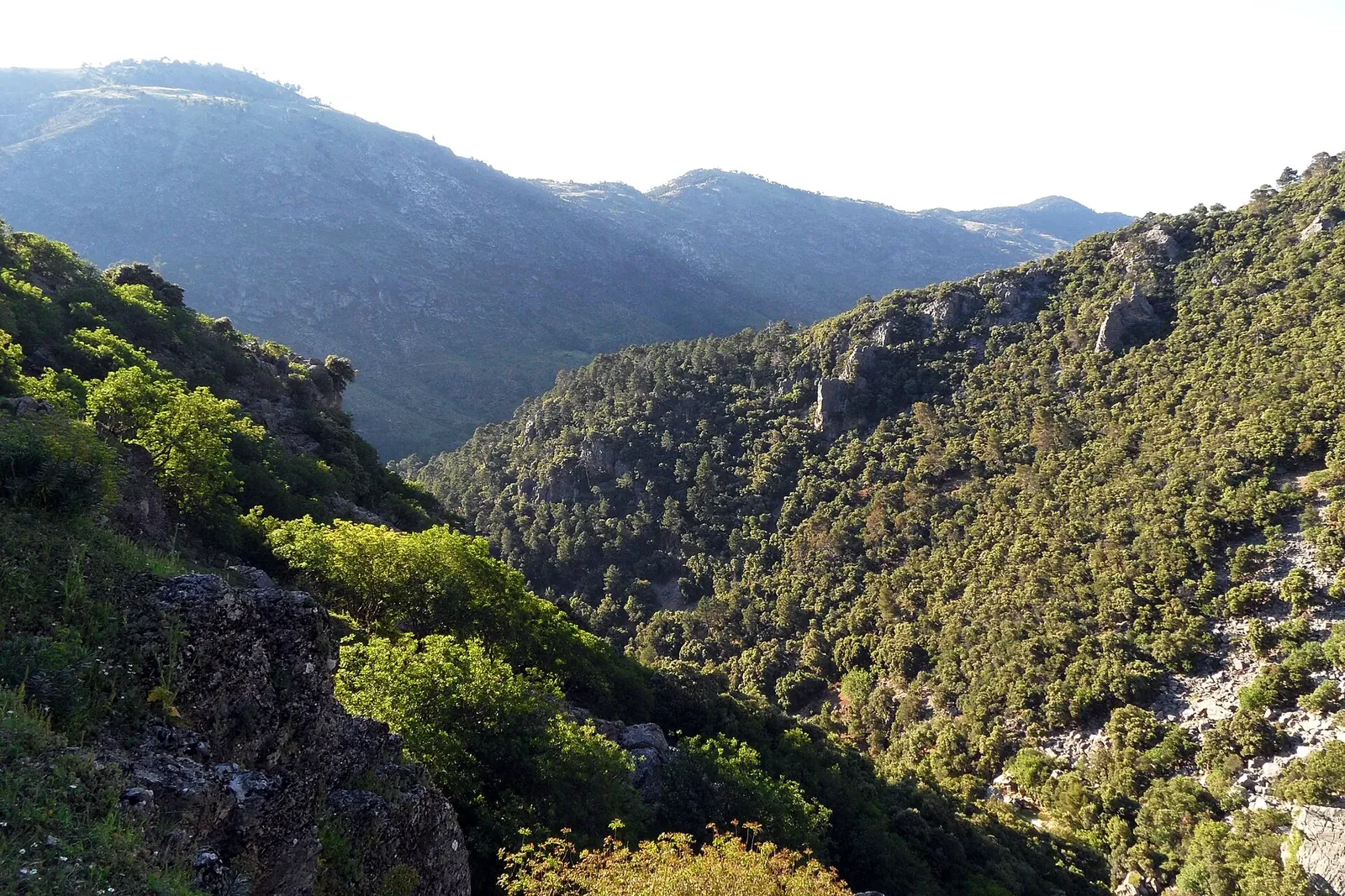 Valle y montañas desde la Cerrada del Utrero