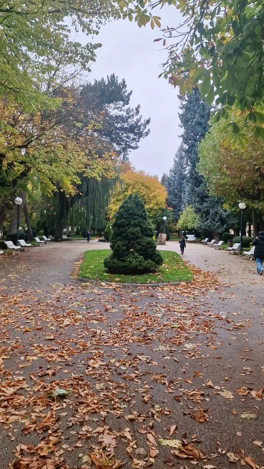 Paseo de la Alameda de Cervantes en otoño con hojas en el suelo