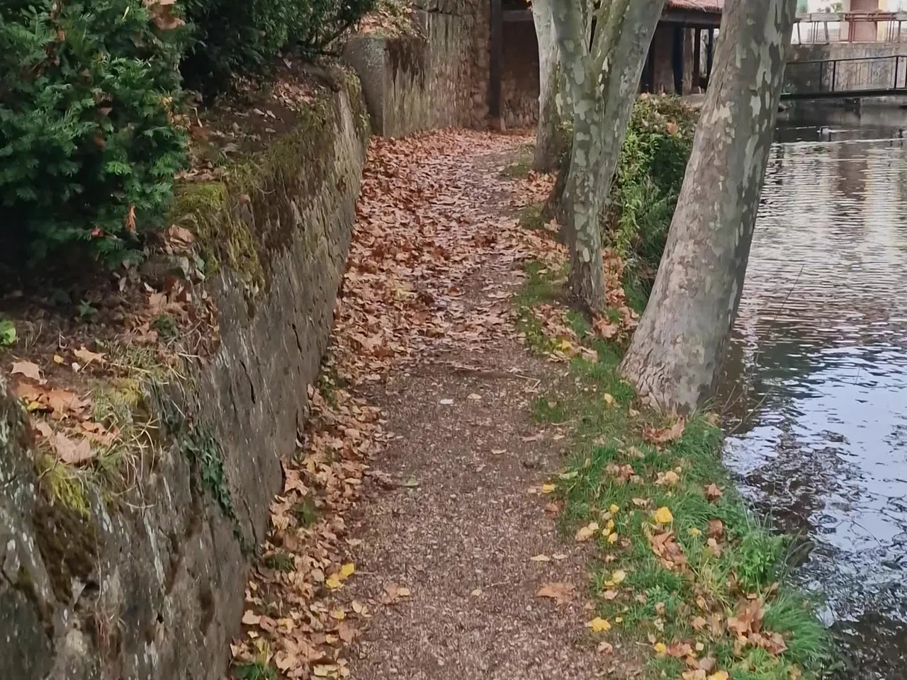 Paseo del Duero en otoño