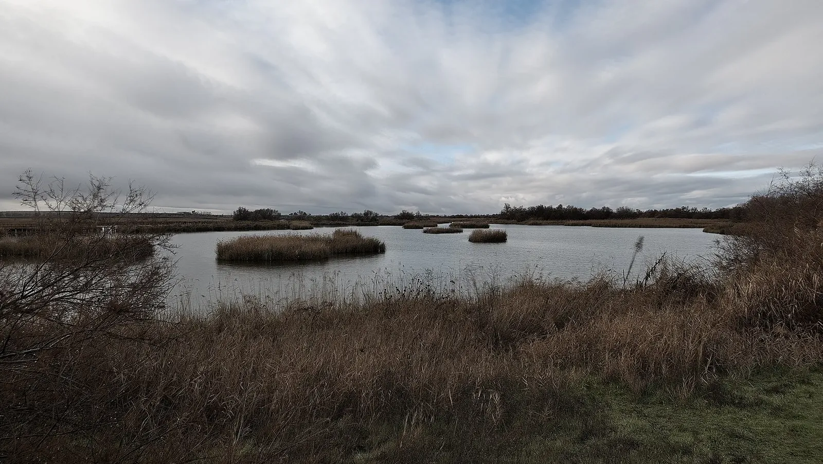 Panorámica de las Tablas de Daimiel con islas y agua