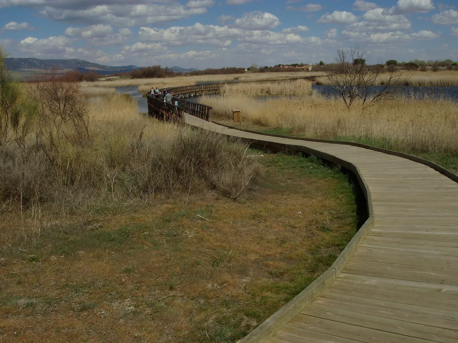 Pasarela de madera sobre las lagunas de las Tablas de Daimiel