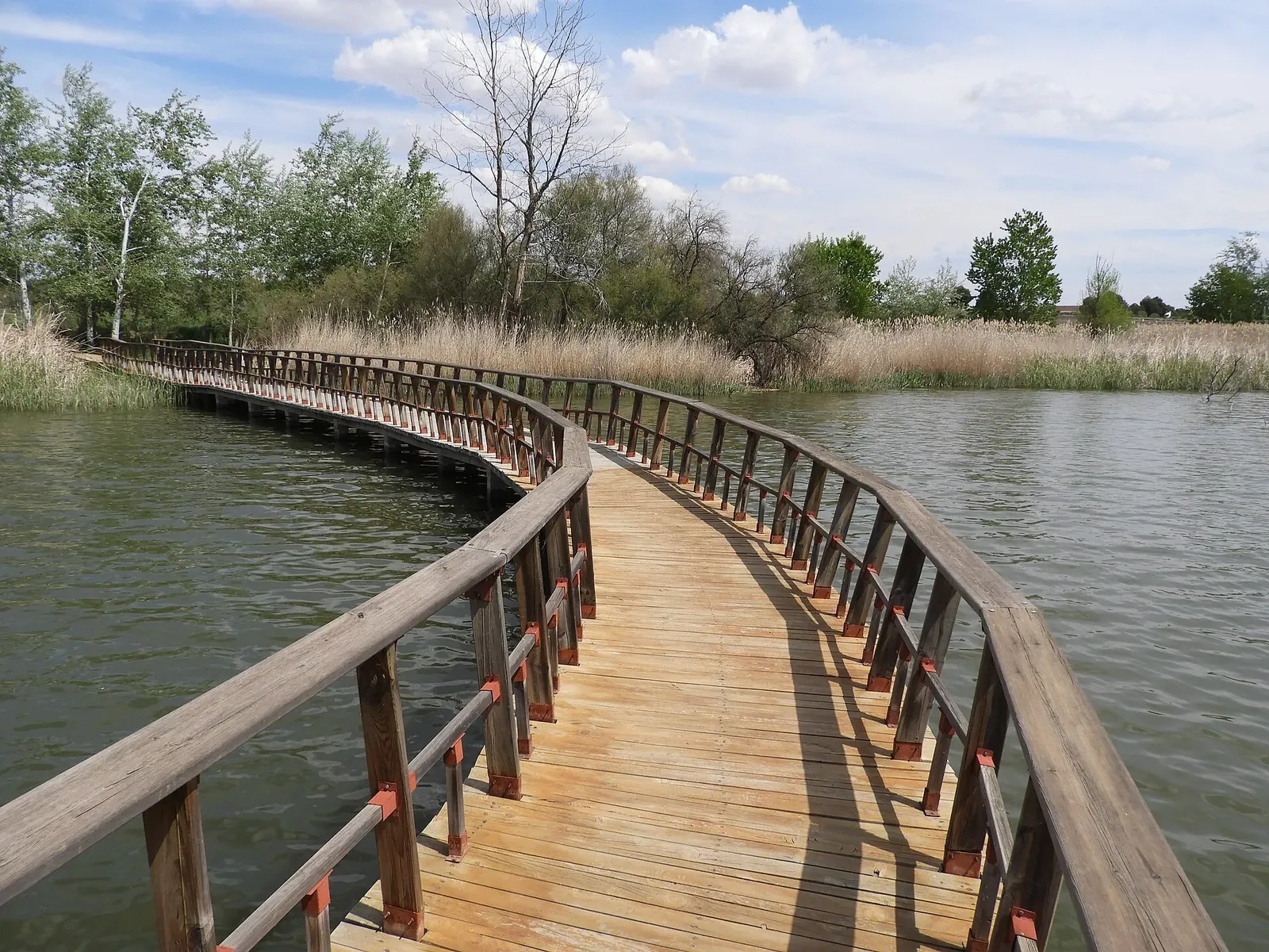 Tablas de Daimiel: pasarelas sobre el agua, aves y la historia de un humedal que ardió por dentro