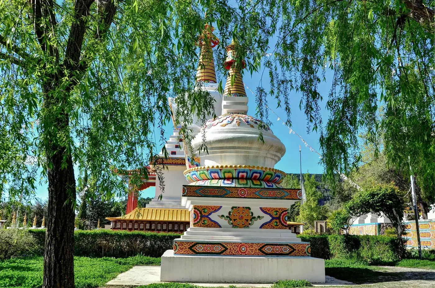 Dag Shang Kagyu (Panillo)