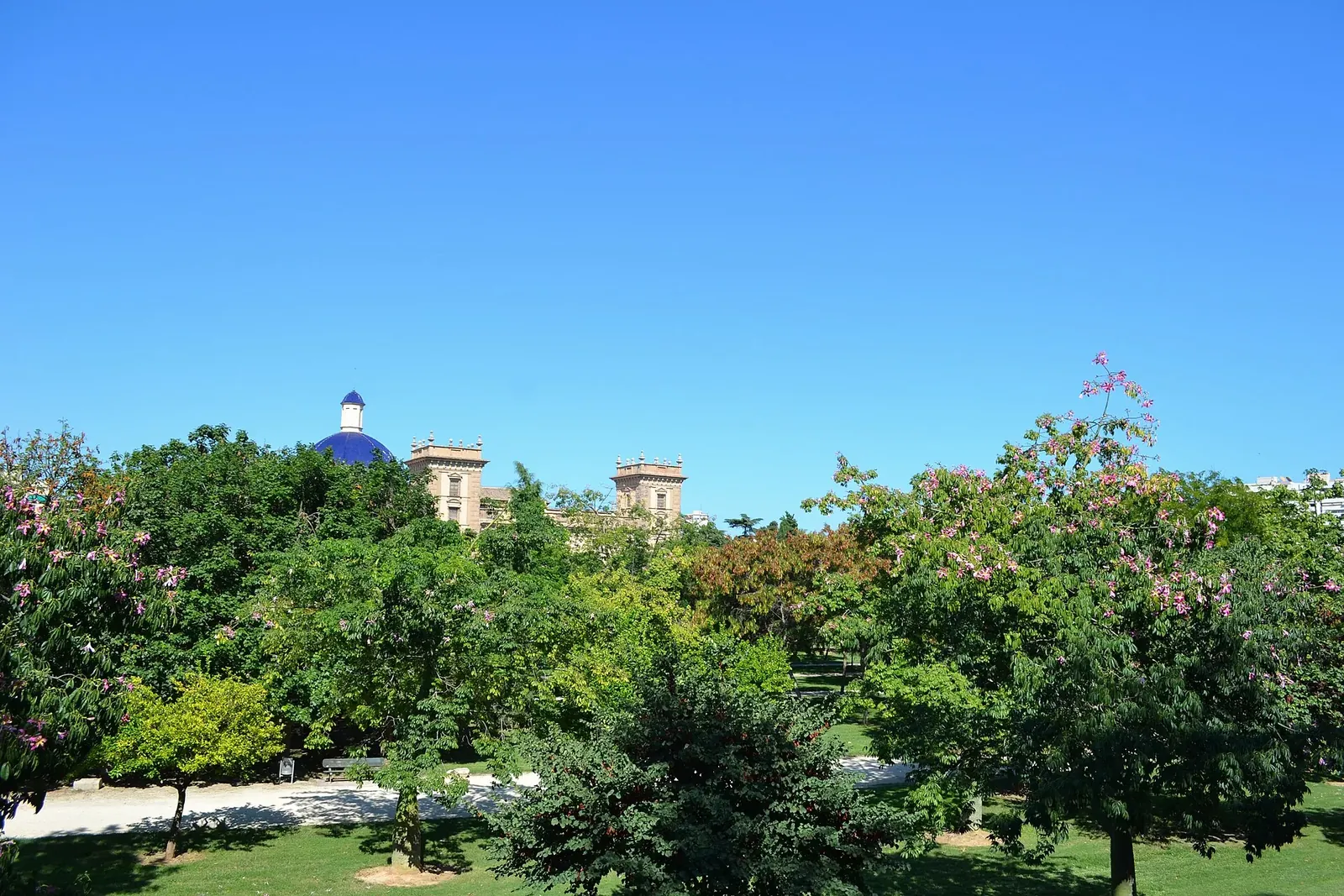 Jardín del Turia en Valencia