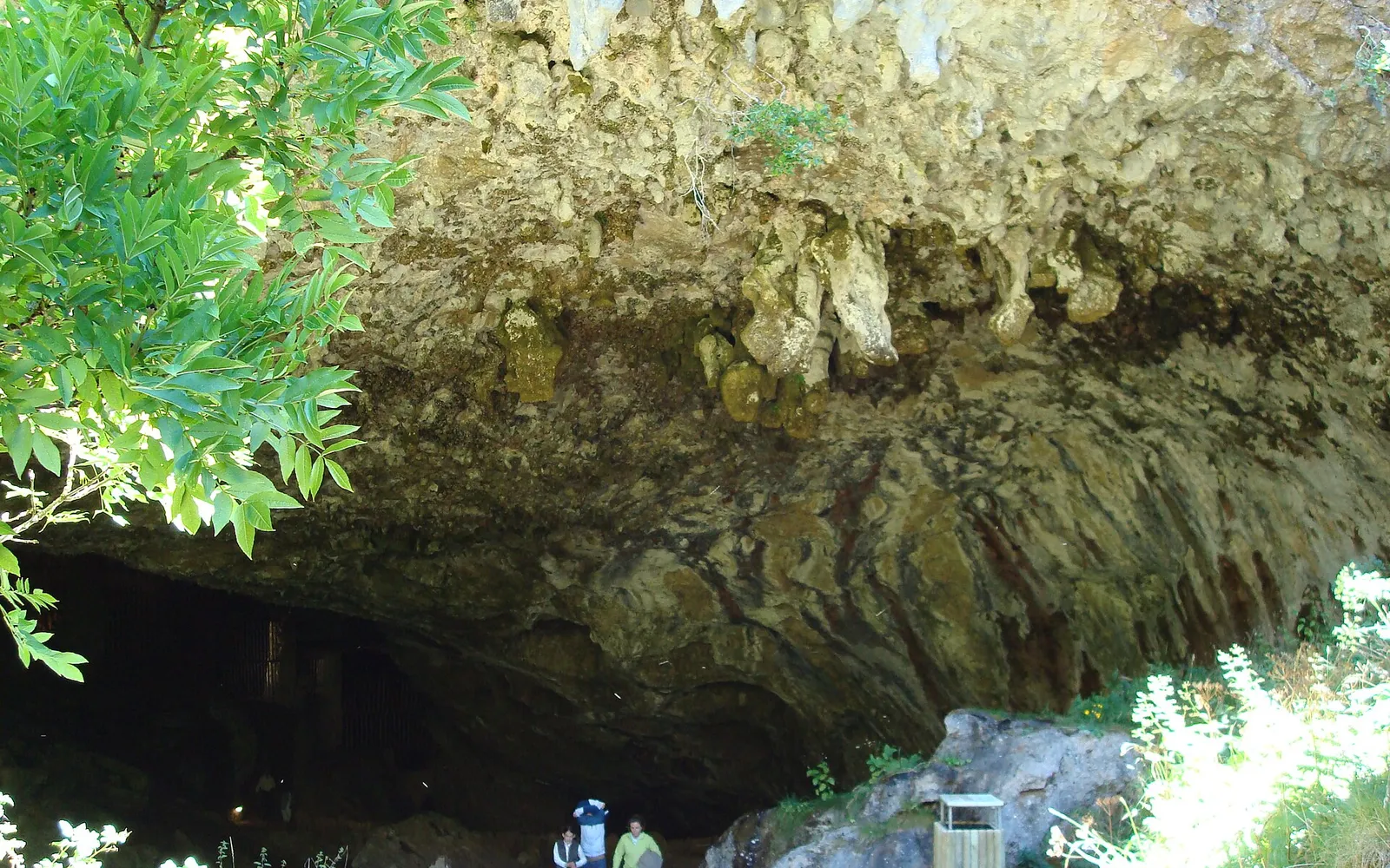 Boca de la Cueva de Valporquero con vegetación y luz exterior